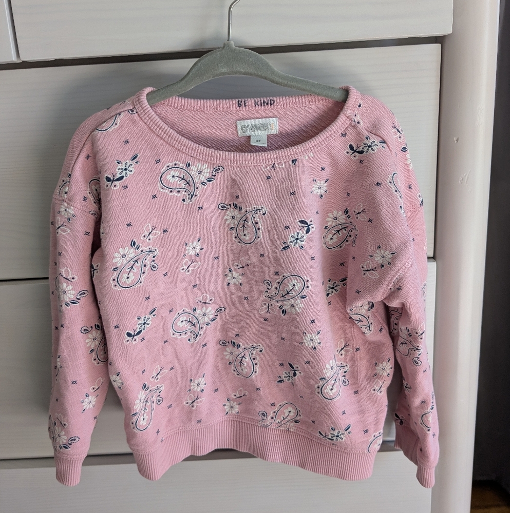 Gymboree 2T Pink Paisley Sweater